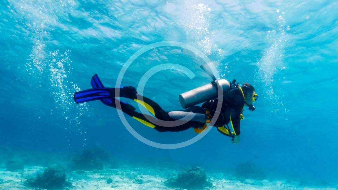 Divers‘ Heaven: Hawaiian Experience