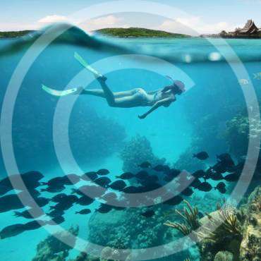 7 Reasons to Become a PADI Rebreather Diver