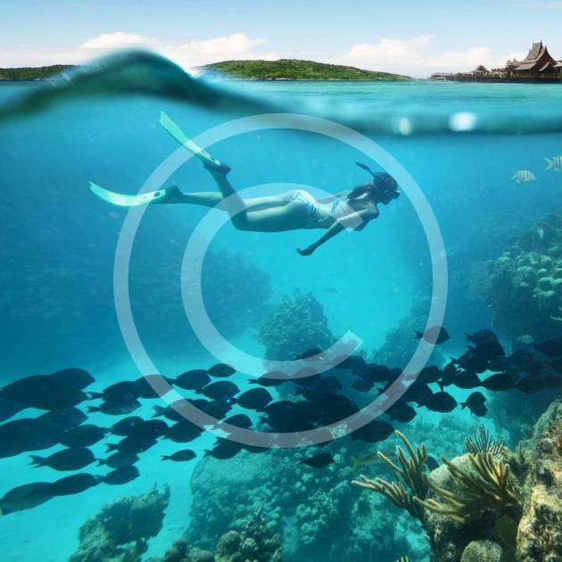 7 Reasons to Become a PADI Rebreather Diver